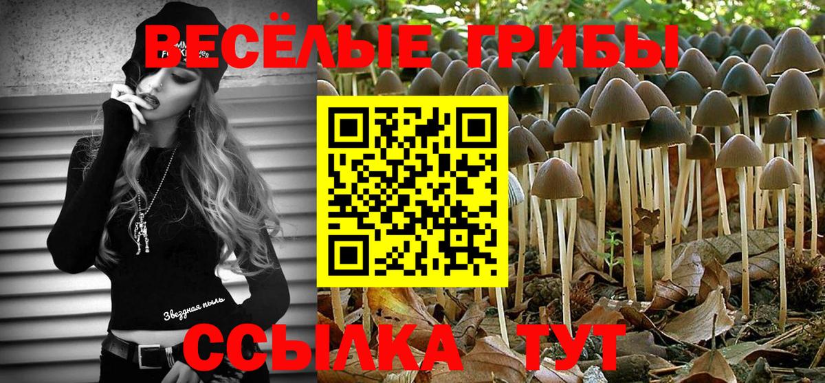 NBOMe  Alpha PVP СК   Вход с VPN  Донской  ГАШ  Канабис  Канабис  COCAIN  МЕФ  