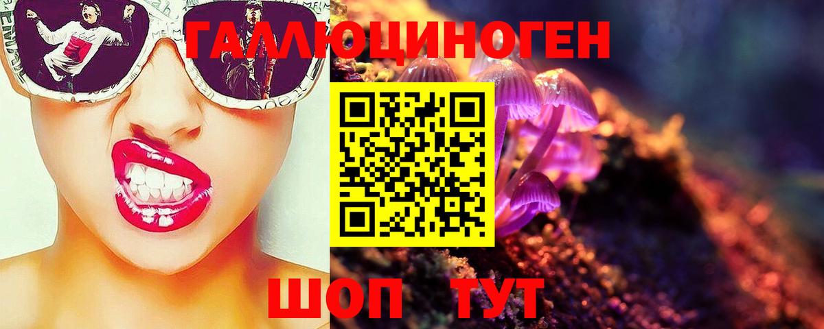 Псилоцибиновые грибы GOLDEN TEACHER Донской
