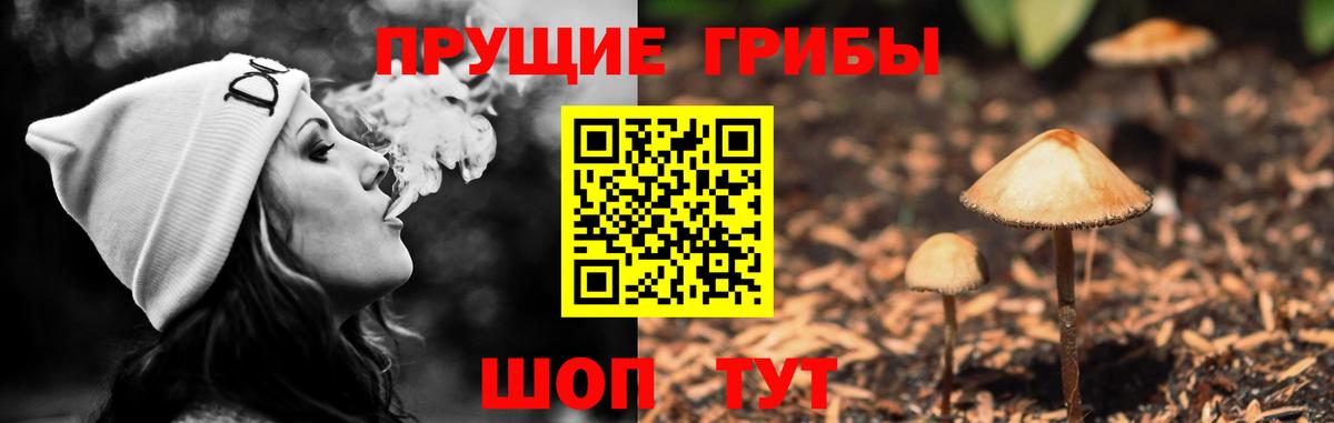 Галлюциногенные грибы прущие грибы  Вход с VPN  купить наркотики сайты  Донской 